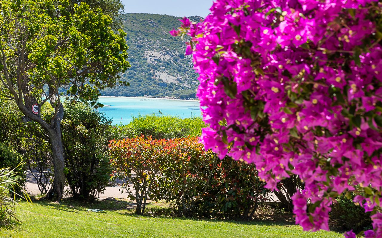 mariana di santa giulia residence piscine spa